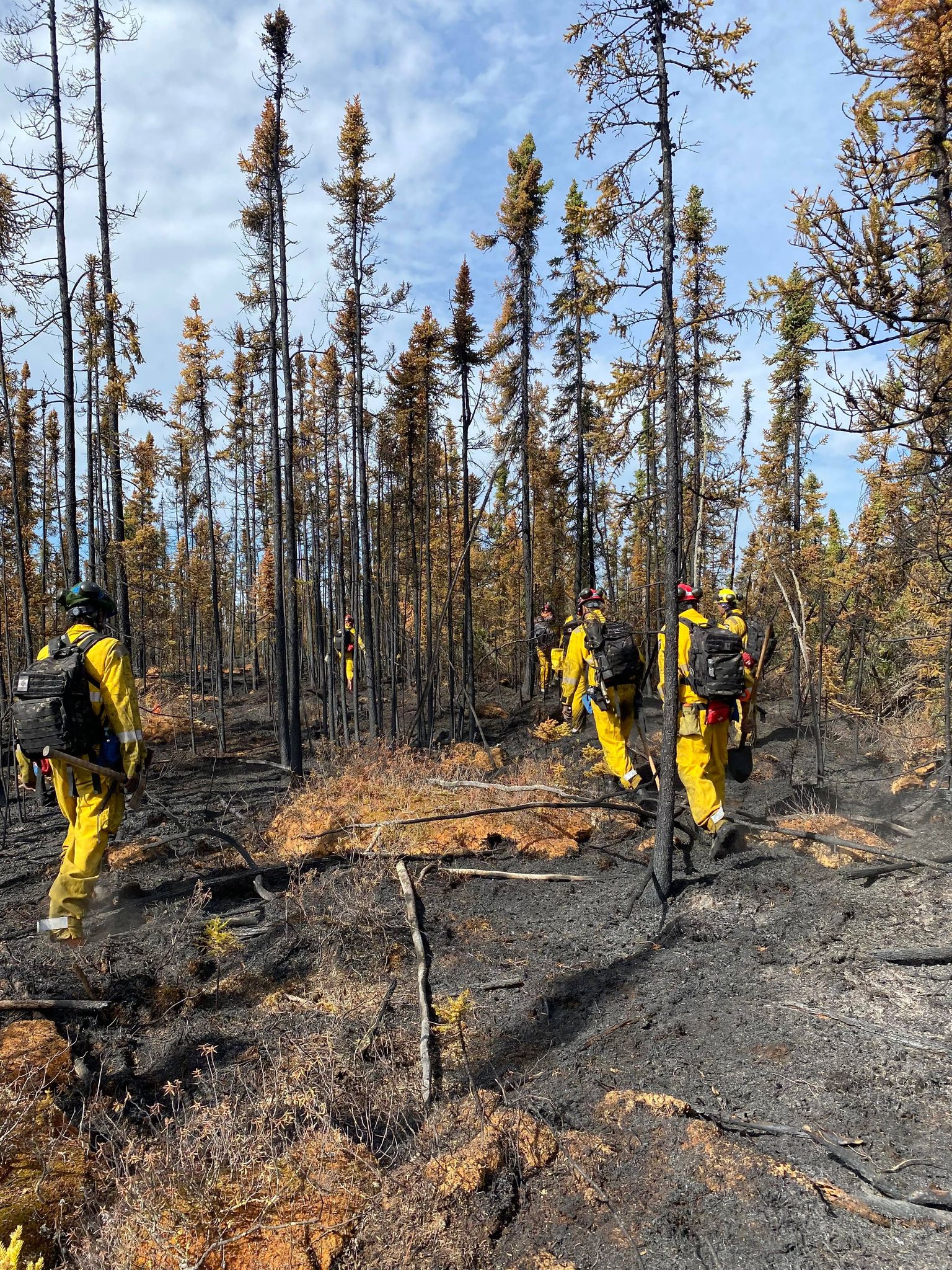 picture from jenny crew